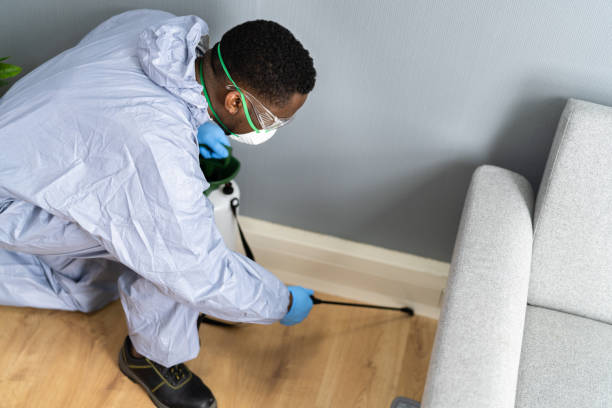 Best Pest Exclusion Services  in Bainbridge, GA